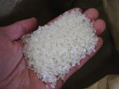 【先行予約】AG01　倉敷産特別栽培米ヒノヒカリ 10kg【お米 米 ヒノヒカリ 国産 岡山県 倉敷市 人気 おすすめ】