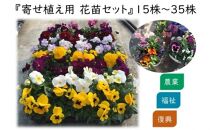 FA003　倉敷市真備町みんな農園寄せ植え用花苗セット