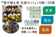 FA004　倉敷市真備町みんな農園寄せ植え用花苗セット【春夏用】