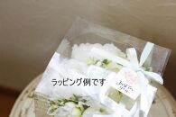 EH06【ギフト用】空気をキレイに♪水換え不要!!ピオニー(芍薬)の花瓶に入った花束：white