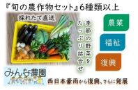 FA005【思いやり型返礼品】　倉敷市真備町みんな農園旬の農産物セット