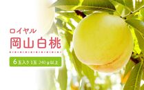 GV03　【ロイヤル】岡山白桃6玉入り（1玉240ｇ以上）　＜2025年発送＞【もも 桃 白桃 果物 フルーツ 国産 人気 おすすめ 岡山県 倉敷市】