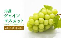 GV08　【長期冷蔵品(岡山県産）】冷蔵シャインマスカット2房入り（1房530ｇ以上）＜2024年発送＞【シャインマスカット シャイン マスカット 人気フルーツ 岡山フルーツ おすすめフルーツ 岡山県 倉敷市】