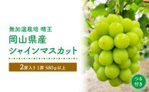 GV12　【無加温栽培（晴王）】岡山県産シャインマスカットつる付き2房入り（1房580ｇ以上）＜2025年発送＞【シャインマスカット シャイン マスカット 人気フルーツ 岡山フルーツ おすすめフルーツ 岡山県 倉敷市】