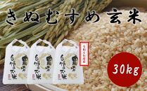 HD08　【先行予約】令和6年度産  きぬむすめ 玄米 30kg　岡山県倉敷市産【玄米 米 きぬむすめ  国産 岡山県 倉敷市 人気 おすすめ】