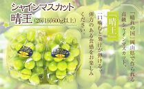 GC18　フルーツ ［2025年先行予約］ 岡山県産 果物定期便 3回コース【もも 桃 シャインマスカット 梨 なし あたご梨 果物 フルーツ 国産 人気 おすすめ 岡山県 倉敷市】