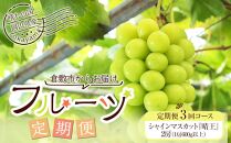 GC20　フルーツ ［2025年先行予約］ 岡山県産 シャインマスカット晴王3回定期便【シャインマスカット 果物 フルーツ 国産 人気 おすすめ 岡山県 倉敷市】