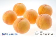 GK11　黄金桃（家庭用）６～９玉入り