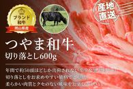 HN15【岡山県産黒毛和牛】つやま和牛切り落とし600g