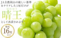 JA05　シャインマスカット 晴王 特大房 合計約2kg 2房入り　岡山県産【シャインマスカット 果物 フルーツ 国産 人気 おすすめ 岡山県 倉敷市】