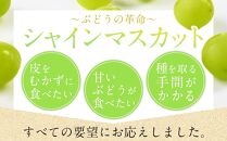 JA05　シャインマスカット 晴王 特大房 合計約2kg 2房入り　岡山県産【シャインマスカット 果物 フルーツ 国産 人気 おすすめ 岡山県 倉敷市】