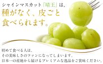 JA05　シャインマスカット 晴王 特大房 合計約2kg 2房入り　岡山県産【シャインマスカット 果物 フルーツ 国産 人気 おすすめ 岡山県 倉敷市】