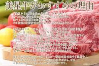 CN43　岡山　黒毛和牛　美星牛　A４等級以上　牛脂付き しゃぶしゃぶ　すき焼き　割り下　約４００g　 約２００g×２枚　美星牧場　