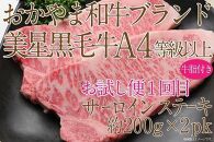 CN44【定期便2か月】　岡山　黒毛和牛　美星牛　A４等級以上　牛脂付き　お試し定期便 合計８００g　生産者直送便　美星町　美星牧場　定期便