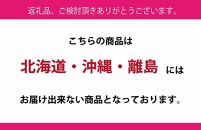 HT11　【先行予約】シャインマスカット晴王　1房【化粧箱入】　約500g【シャインマスカット シャイン マスカット 人気フルーツ 岡山フルーツ おすすめフルーツ 岡山県 倉敷市】