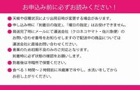 HT11　【先行予約】シャインマスカット晴王　1房【化粧箱入】　約500g【シャインマスカット シャイン マスカット 人気フルーツ 岡山フルーツ おすすめフルーツ 岡山県 倉敷市】