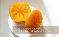 柿 種無し 赤秀品 超大玉 約1.8kg 5～6個 【先行予約】【2025年9月下旬から10月下旬頃発送】【KG4】