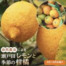 【先行受付】自然農法による瀬戸田レモン1kgと季節の柑橘詰め合わせ4kg（2024年4月～6月お届け）