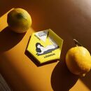 【先行予約】自然農レモン2kgと自然農柑橘商品（レモンチョコ40g）の詰め合わせセット（2024年4月～お届け）