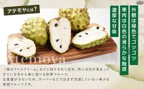 希少!!　森のアイスクリーム　アテモヤ