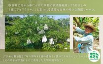 希少!!　森のアイスクリーム　アテモヤ