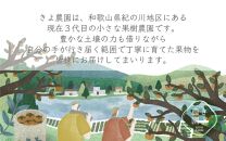 不知火 希少な樹上完熟！ 秀品大玉 6個入 (約2kg)　【先行予約 2025年2月下旬頃から発送】【KT2】