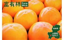 大人気の「柿２品種」食べ比べ！太秋柿（10月）富有柿（11月）計3L×20個（約6.4kg）
