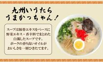 うまかっちゃん 5食＆博多からし高菜風味 5食 計10食セット