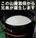 佐渡の山廃兄弟セット　1800ml×2本（山廃純米大吟醸、山廃純米ＧＯＮ　各1本）