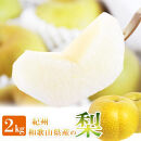 【8・9・12月 全3回】紀州産 巨峰とフルーツ定期便A（巨峰・梨・みかん） 【魚鶴商店】