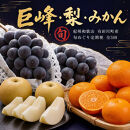 【8・9・12月&nbsp;全3回】紀州産&nbsp;巨峰とフルーツ定期便A（巨峰・梨・みかん）&nbsp;【魚鶴】