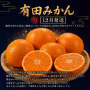 【8・9・12月&nbsp;全3回】紀州産&nbsp;巨峰とフルーツ定期便A（巨峰・梨・みかん）&nbsp;【魚鶴】