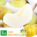 【8・9・12月 全3回】紀州産 巨峰とフルーツ定期便B（巨峰・梨・みかん） 【魚鶴商店】