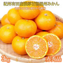 【8・9・12月 全3回】紀州産 巨峰とフルーツ定期便B（巨峰・梨・みかん） 【魚鶴商店】