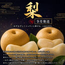 【8・9・12月&nbsp;全3回】紀州産&nbsp;巨峰とフルーツ定期便B（巨峰・梨・みかん）&nbsp;【魚鶴】