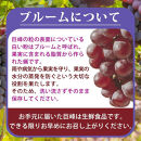 【2・8・9・12月 全4回】紀州産 巨峰とフルーツ定期便（巨峰・梨・みかん・不知火） 【魚鶴商店】