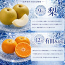 【2・8・9・12月&nbsp;全4回】紀州産&nbsp;巨峰とフルーツ定期便（巨峰・梨・みかん・不知火）&nbsp;【魚鶴】