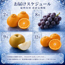【2・8・9・12月&nbsp;全4回】紀州産&nbsp;巨峰とフルーツ定期便（巨峰・梨・みかん・不知火）&nbsp;【魚鶴】