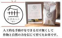 むぎわらの「無」3kg【米 こめ 白米 ひのひかり ヒノヒカリ ごはん ご飯 おにぎり 無農薬 家庭用 贅沢 人気 食品 オススメ 送料無料 福岡県 筑前町 DZ001】