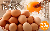 【定期便：6か月】【食べチョクアワード2025&nbsp;畜産部門&nbsp;1位の日本一のたまご】単なる平飼いではない究極の卵『わたしたちのぷらいどたまご』3パック（30個）セット