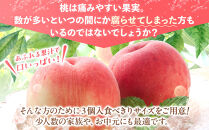 桃 極上秀品 食べきりやすい３個入 ［先行予約］［2026年6月下旬頃より順次発送］こだわり農家厳選！［KG1］