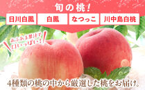 桃&nbsp;極上秀品&nbsp;約2kg&nbsp;6～8個入［先行予約］［2026年6月下旬頃から順次発送］こだわり農家厳選［KG2］