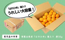 はれひめ（ミカンの希少種） 秀品  約5ｋｇ（25個～30個入）【先行予約】【2024年12月中旬頃から発送】【KG3】