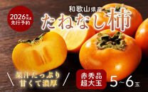 柿&nbsp;種無し&nbsp;赤秀品&nbsp;超大玉&nbsp;1.8kg&nbsp;5～6個&nbsp;［先行予約］［2026年9月末頃から発送］［KG4］