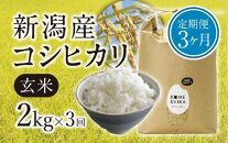 【令和5年産米】【定期便3ヵ月】新潟産コシヒカリ  玄米2kg×3回