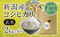 【令和5年産米】【定期便6ヵ月】新潟産コシヒカリ 玄米2kg×6回