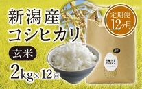 【令和5年産米】【定期便12ヵ月】新潟産コシヒカリ 玄米2kg×12回