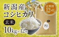 【令和5年産米】【定期便12ヵ月】新潟産コシヒカリ 玄米10kg×12回