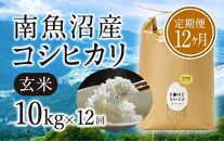 【令和5年産米】【定期便12ヵ月】雪室貯蔵 南魚沼産コシヒカリ  玄米10kg×12回