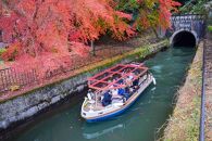 【びわ湖疏水船：三井寺便】秋シーズン先行予約権（１名様分の先行予約の権利と乗船引換券）